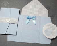 Gingham Acrylic Baby Invitation with blue satin bow